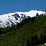 新緑と三ッ岩岳　標高2065メートル